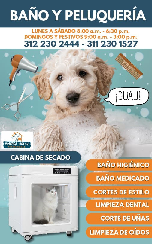 Baño y peluquería