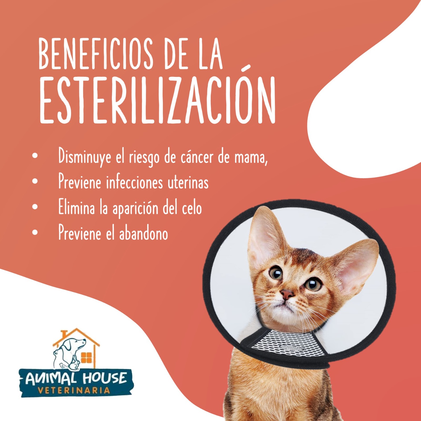 Esterilización