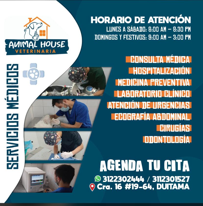 Consulta y medicina general