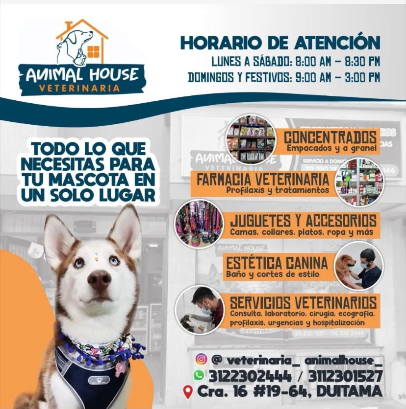 Todo en un solo lugar